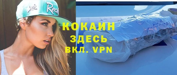 эйфоретик Ельня