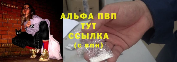 СК Елабуга