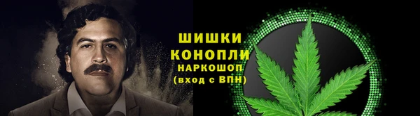эйфоретик Ельня