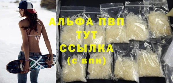 PSILOCYBIN Елизово