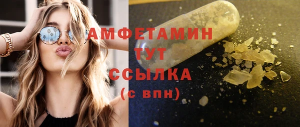 эйфоретик Ельня