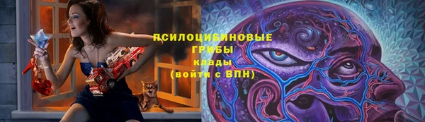 СК Елабуга