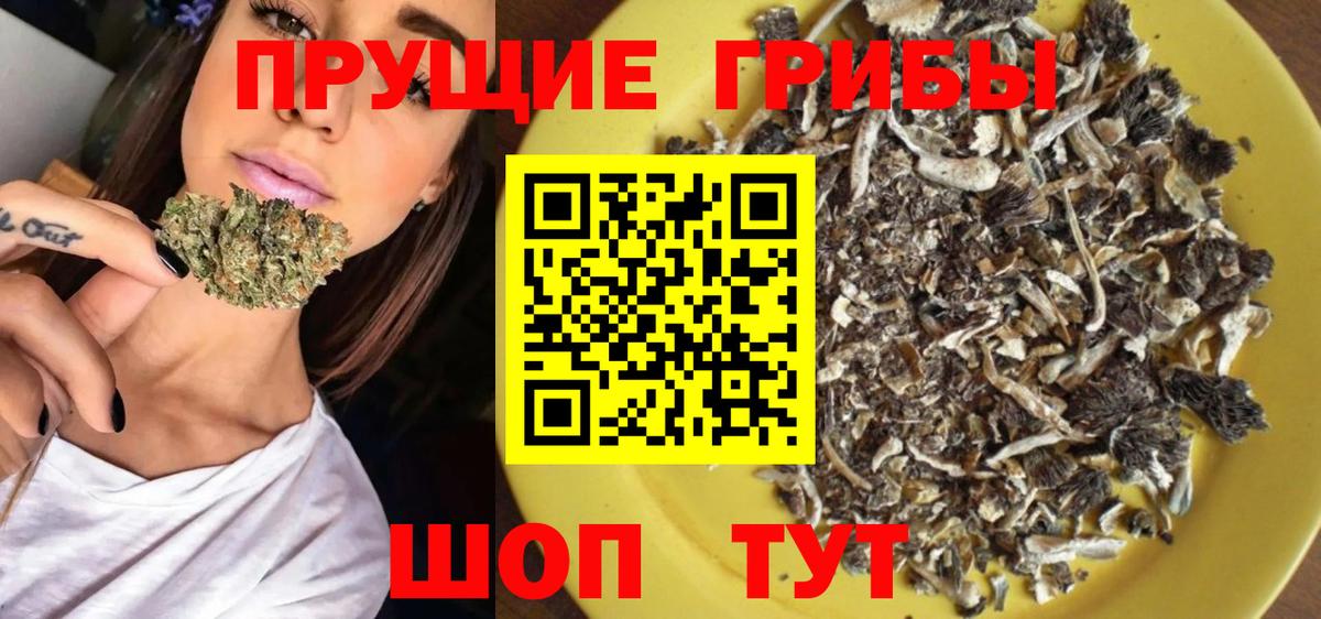 Галлюциногенные грибы ЛСД  Галлюциногенные грибы прущие грибы  купить наркотик  Вход с VPN  Истра 